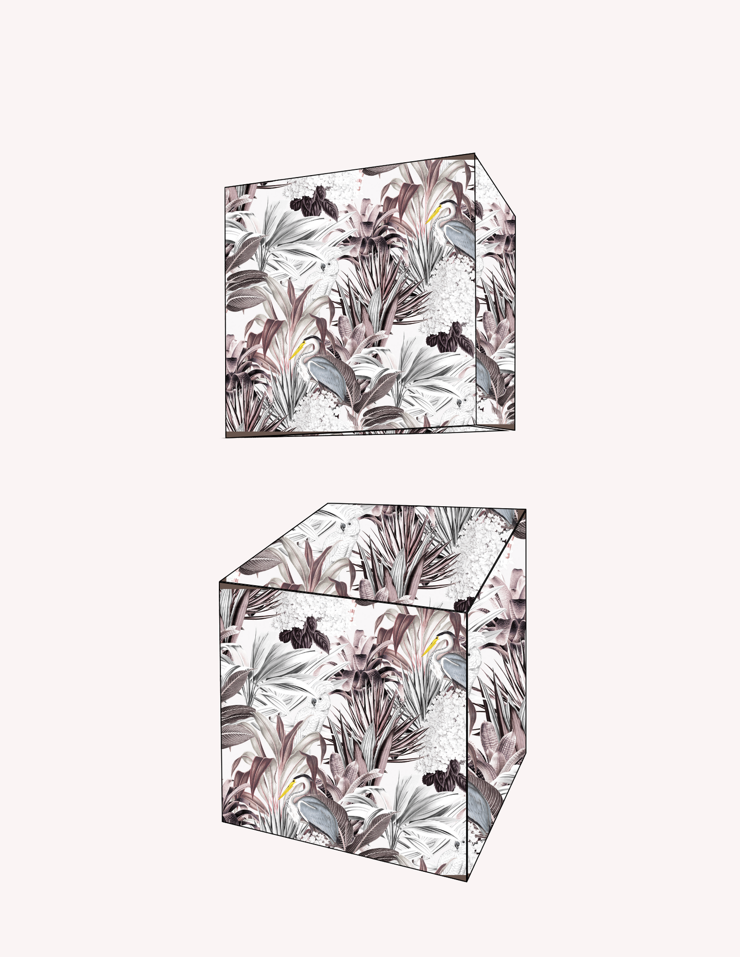 Favour Box